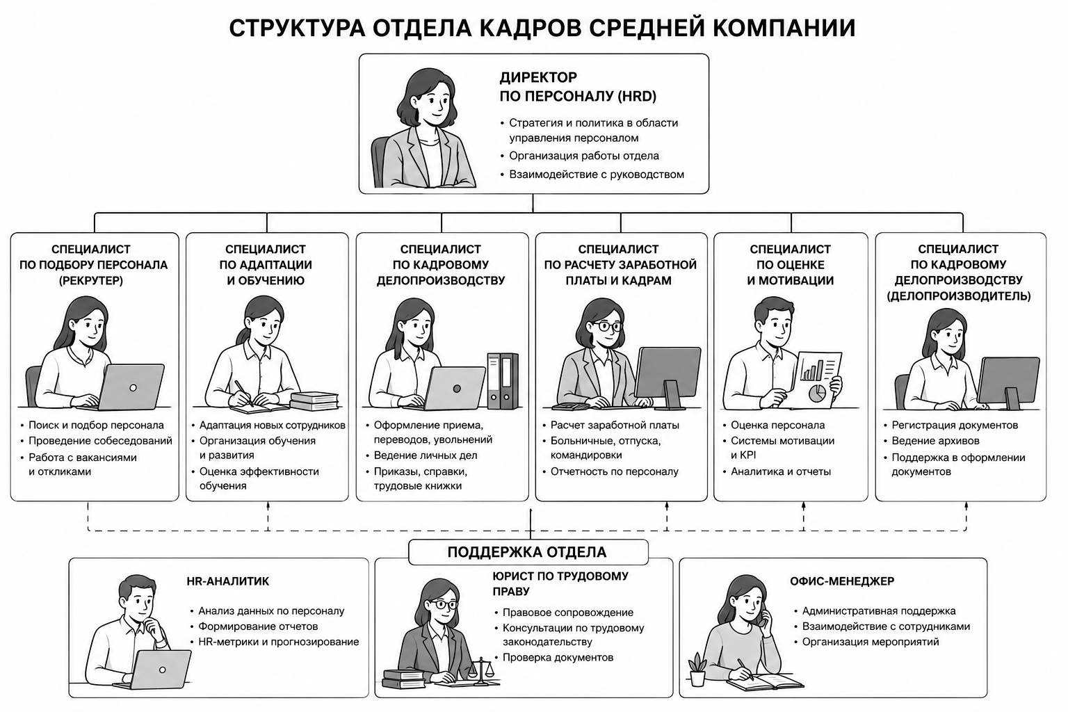 Схема состава отдела кадров средней компании с распределением ролей