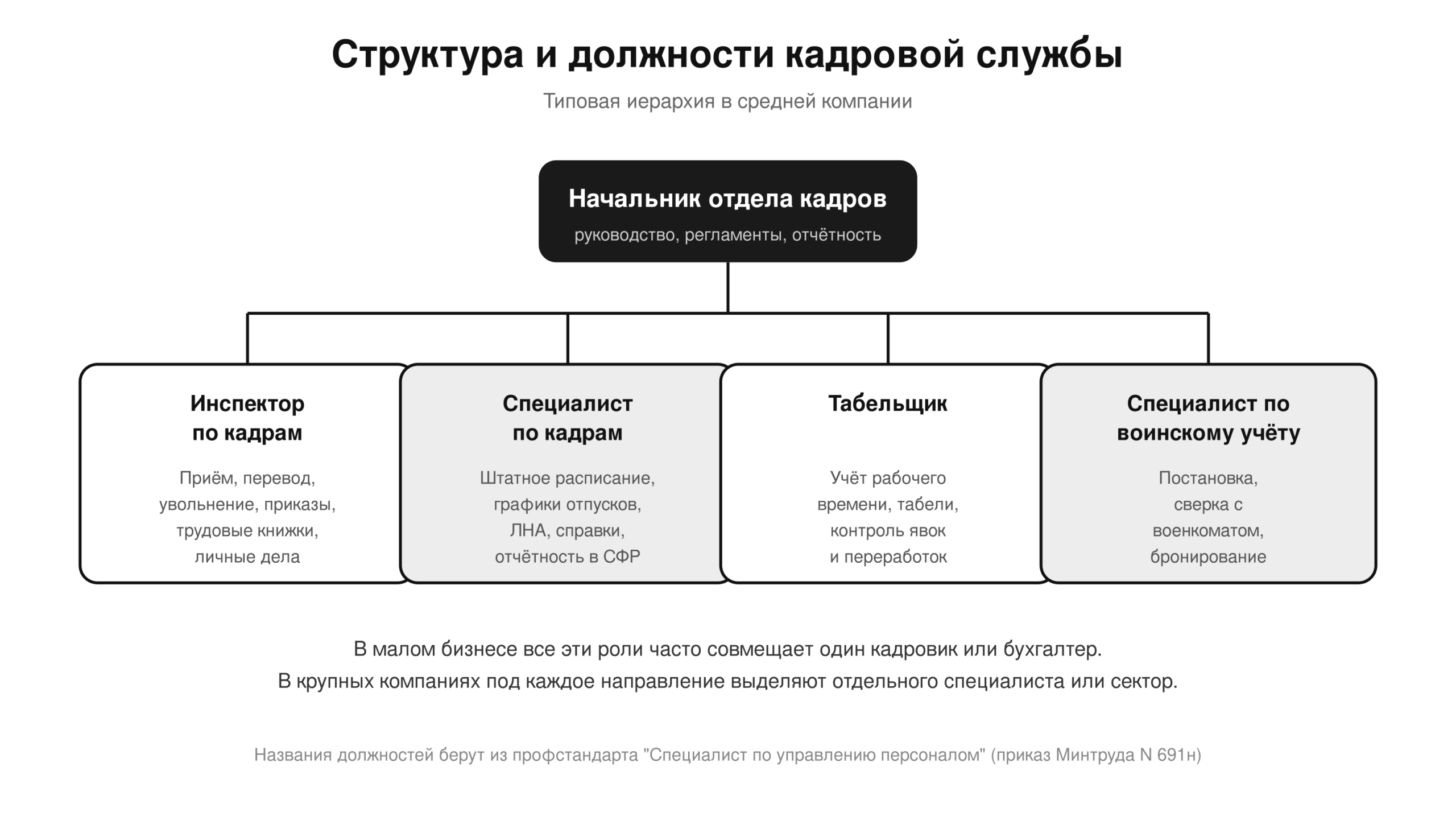 Структура кадровой службы: руководитель, кадровик, рекрутер, специалист по обучению